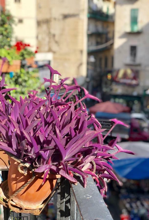 Il Sole Di Montesanto Bed & Breakfast Naples Exterior photo